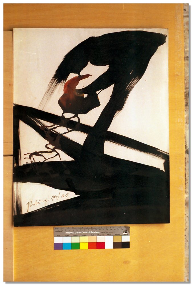 AA_8_003.jpg