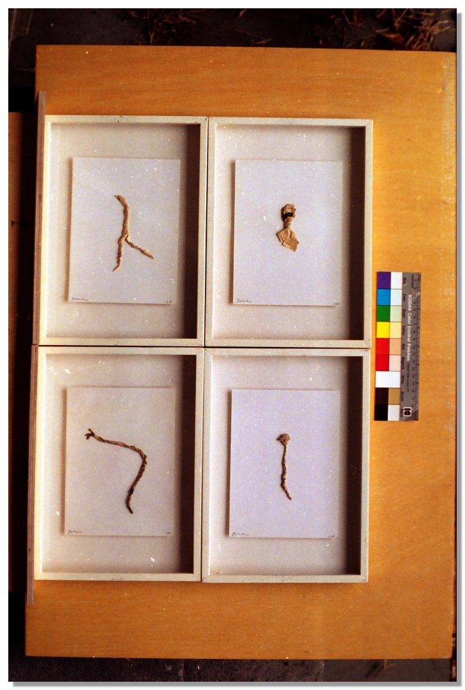 AA_4_018.jpg